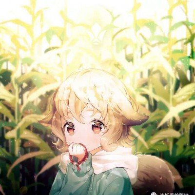 世界杯转播权价格连续腰斩